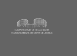 Newsletter TEDH/CEJ/OA n.º 2/2019