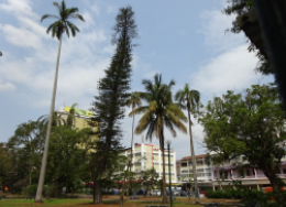 Moçambique convidado a aderir à Convenção sobre Cibercrime (Convenção de Budapeste)